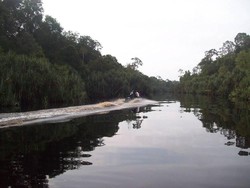 Pulau Betet di Sumsel Tak Lenyap, Hanya Abrasi di Muara Sungai