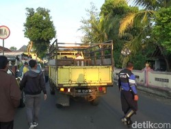 Kenali Penyebab Penyakit Antraks dan Gejalanya