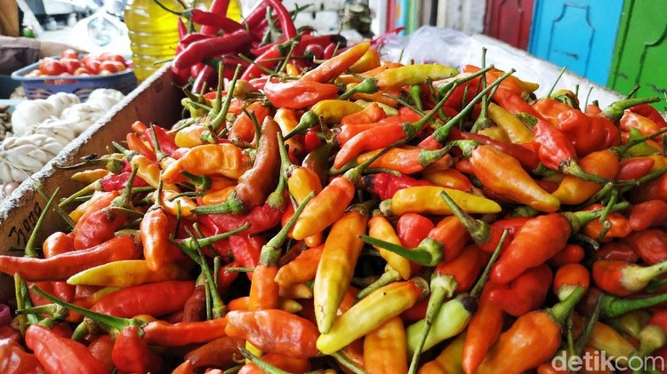 Harga cabai melonjak baik di bulan Februari ini. Tak perlu khawatir, karena Bunda bisa menggantikan cabai dengan bahan lain.