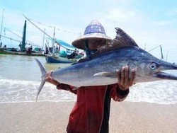 Nyawa Bocah Hampir Melayang Leher Tertancap Ikan Marlin Berpedang