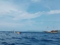 Perahu Wisatawan Terbalik di Waduk Kedungombo, 9 Orang Hilang