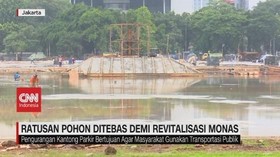 VIDEO: Ratusan Pohon Ditebas Demi Revitalisasi Monas