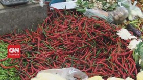VIDEO: Meroket, Cabe Rawit Tembus Rp.100.000/Kilogram