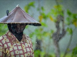 Dibawah Caping Hujan