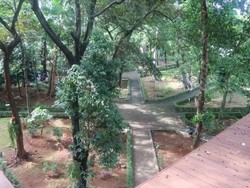 Yang Hijau-hijau di Jakarta