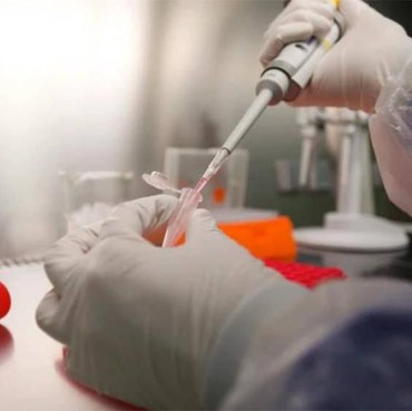 Satu 'Ikan Cupang' Dihujat Netizen karena Berdoa Covid Jangan Berakhir