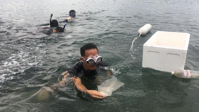 Sebanyak 17.640 benih lobster yang hendak diselundupkan melalui bandara di Palembang ke Singapura berhasil digagalkan Kantor Bea Cukai Palembang.