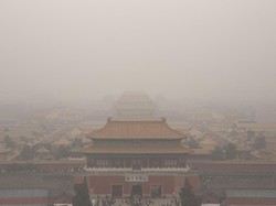 Testis Harimau Jadi Santapan Kaisar China?