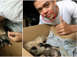Demi Viral, Pria Malaysia Ini Minum Susu dari Puting Kucing!