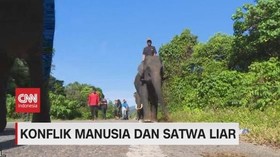 VIDEO: Konflik Manusia & Hewan Liar