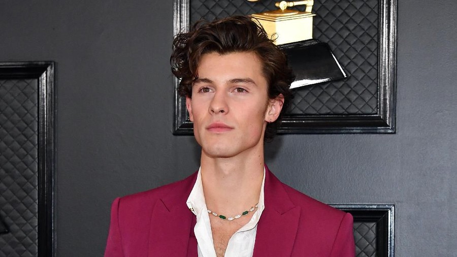 LOS ANGELES, CALIFORNIA - JANUARY 26: Shawn Mendes attends the 62nd Annual GRAMMY Awards at Staples Center on January 26, 2020 in Los Angeles, California. (Photo by Amy Sussman/Getty Images)