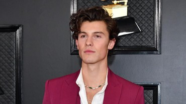 img-title Putus dari Camila Cabello, Shawn Mendes Pacaran dengan Wanita 51 Tahun?