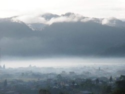 Foto: Gayo Tak Hanya Kopi