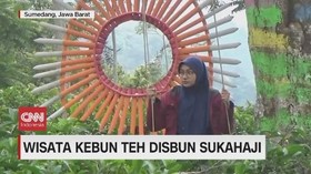 VIDEO: Wisata Kebun Teh Disbun Sukahaji