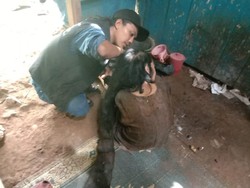 Disebut 27 Tahun Tak Mandi, Rambut Sukiyah Dihuni Kecoa hingga Tikus