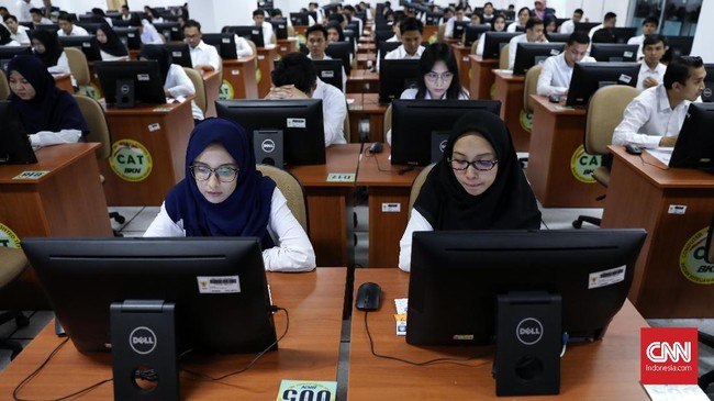 Formasi CPNS daerah 2021 yang dibuka antara lain posisi tenaga kesehatan, analis kebijakan, pustakawan hingga penyuluh pertanian.