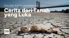 Cerita dari Tanah yang Luka