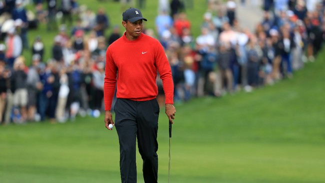 Dalam kariernya, Tiger Woods pernah menjadi nomor 1 dunia termuda dan sekaligus memiliki bayaran termahal.