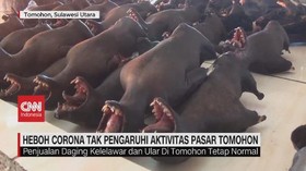 VIDEO: Heboh Corona Tak Pengaruhi Penjualan Daging Kelelawar