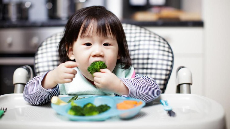 Acara masak di TV dapat menjadi salah satu program yang bisa ditonton si kecil. Peneliti menemukan pengaruhnya pada asupan nutrisi dan kebiasaan makan anak.