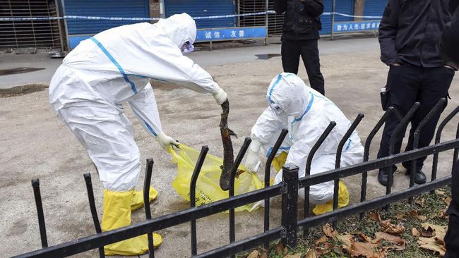 Virus corona baru yang berasal dari China, menurut salah satu penelitian yang diterbitkan, ternyata bisa menampakkan gejala dalam waktu 5,2 hari.