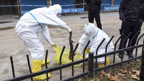 Studi: Virus Corona Tunjukkan Gejala dalam 5,2 Hari