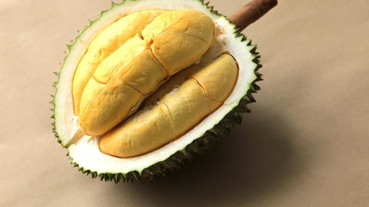 Buah Durian Thai durian portion isolated on white background