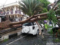 Sejumlah Pohon Tumbang Timpa Mobil dan Motor di Kota Banjar