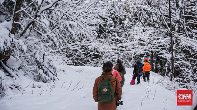 Prefektur Gunma menjadi destinasi wisata musim dingin di Jepang, mulai dari ski sampai berburu.