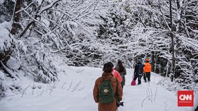 Mencari Jejak Binatang Liar di Gunung Salju Jepang