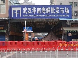 Covid-19 Comeback ke Wuhan, Pasar Wuhan Fix Jadi Pusat Pandemi