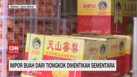 VIDEO: Impor Buah dari Tiongkok Dihentikan Sementara