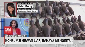 VIDEO: Konsumsi Hewan Liar, Bahaya Mengintai