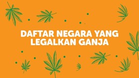 INFOGRAFIS: Daftar Negara yang Legalkan Ganja