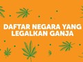 INFOGRAFIS: Daftar Negara yang Legalkan Ganja