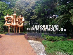 Bukan di Monas, Ini Hutan Kota yang Tak Kalah Keren di Jakarta