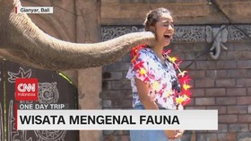 VIDEO: Wisata Mengenal Fauna di Bali