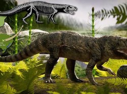 Fosil Buaya Monster Ditemukan, Wujudnya Mengerikan