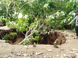 3 Lubang Menganga Tiba-tiba Muncul di Kebun Warga Maros