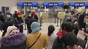 Sejumlah Maskapai Mengaku Rugi Akibat Virus Corona
