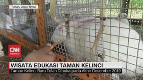 VIDEO: Wisata Edukasi Taman Kelinci