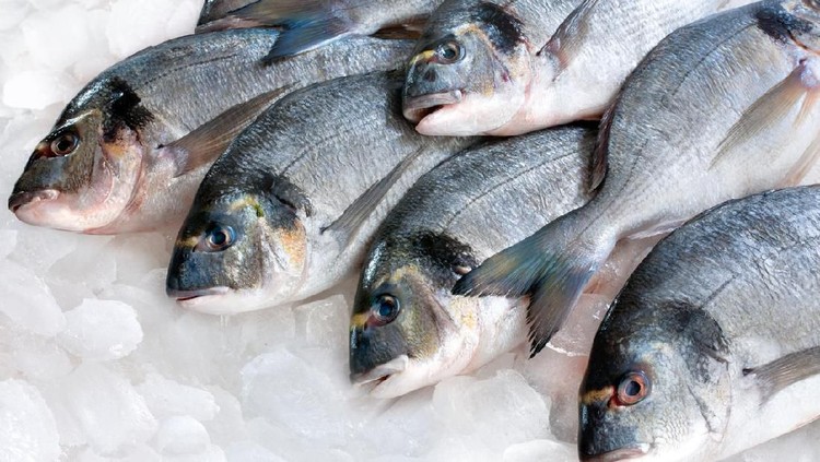 Semua ikan memang beraroma, Bunda. Namun, ikan segar sebenarnya memiliki aroma yang khas. Setelah 2 - 3 hari, aroma manis itu biasanya menghilang.