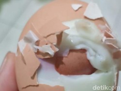 Heboh Telur Isi Telur di Makassar, Induk Ayamnya Diduga Stres