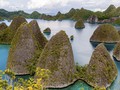 Apindo Minta Pemerintah Beri Dukungan Khusus ke Ekonomi Papua