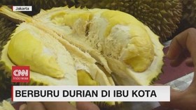 VIDEO: Berburu Buah Durian di Jakarta