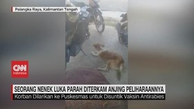 VIDEO: Nenek Luka Parah Diterkam Anjing Peliharaannya