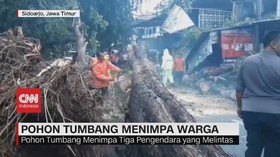 VIDEO: Pohon Tumbang Menimpa 3 Pengendara