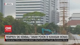 VIDEO: Pemprov DKI Kembali Tanam Pohon di Kawasan Monas