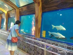 Purbalingga Punya Taman Rekreasi Sebagus Ini, Tahu?