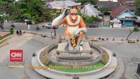 VIDEO: Menjaga Bekantan, Merawat Kalimantan